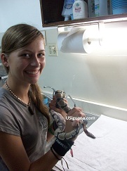 A ball python