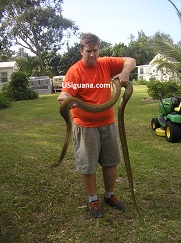 Ed & Retic